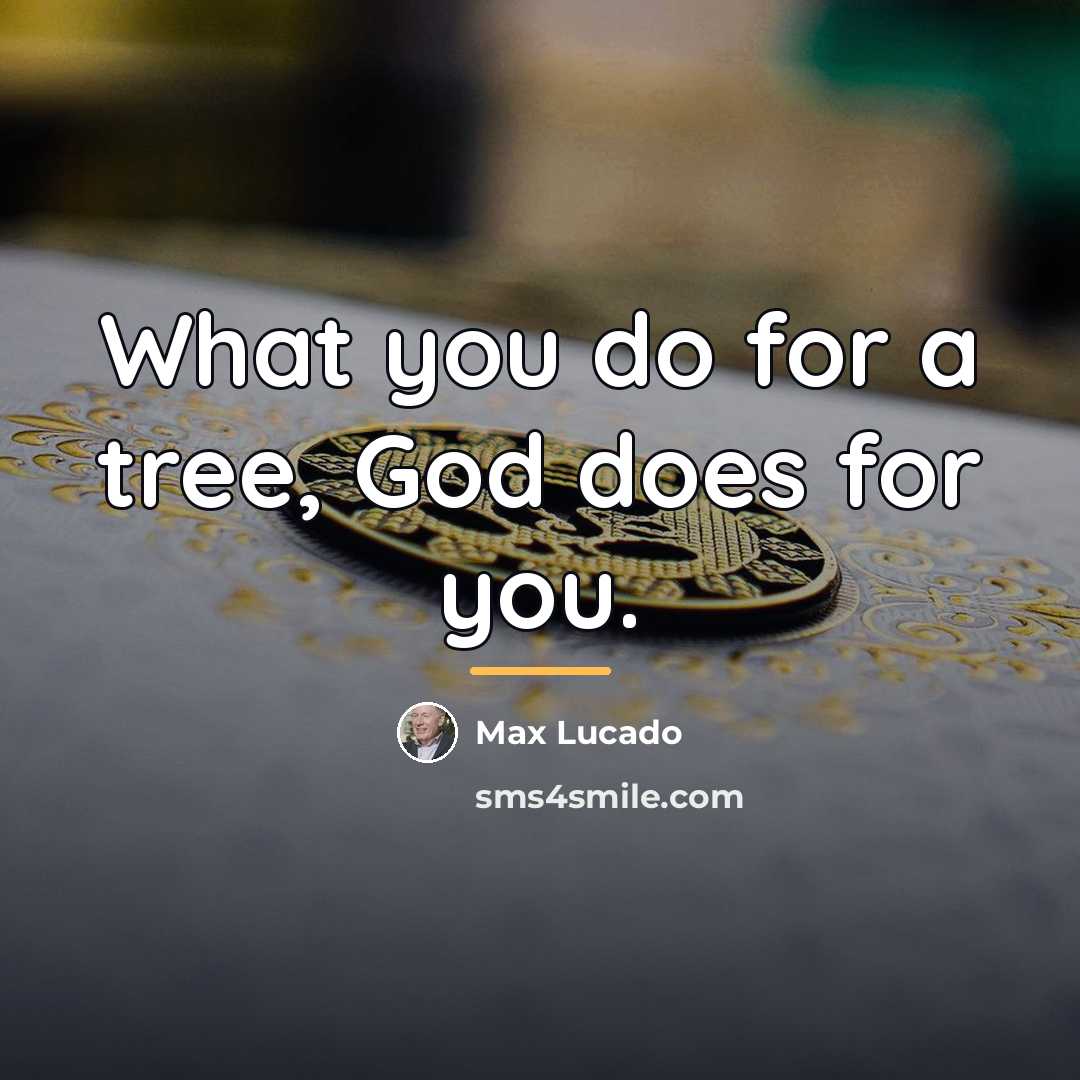 “What you do for a tree, God does for you.…” quote by Max Lucado