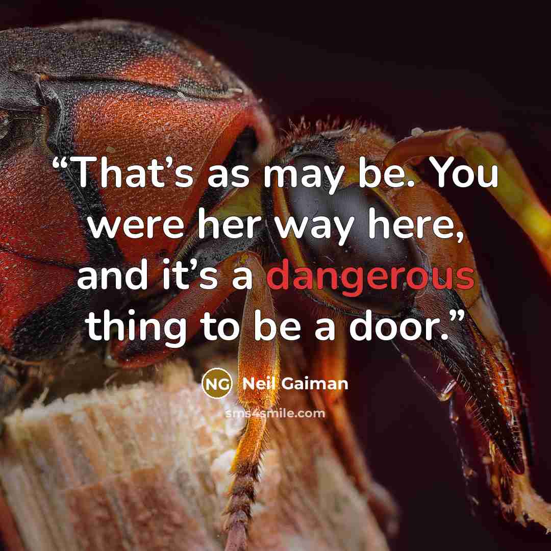 “That’s as may be. You were her way here, and it’s a dangerous thing to be a door.” quote by Neil Gaiman