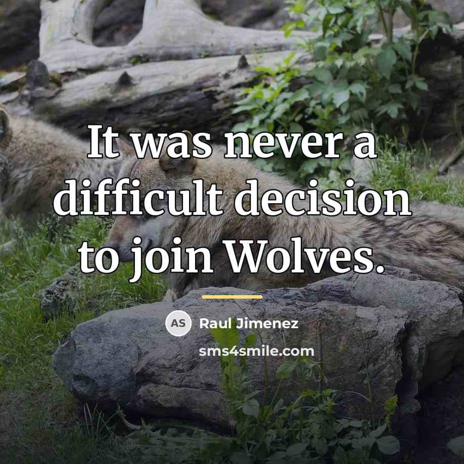 “It was never a difficult decision to join Wolves.…” quote by Raul Jimenez