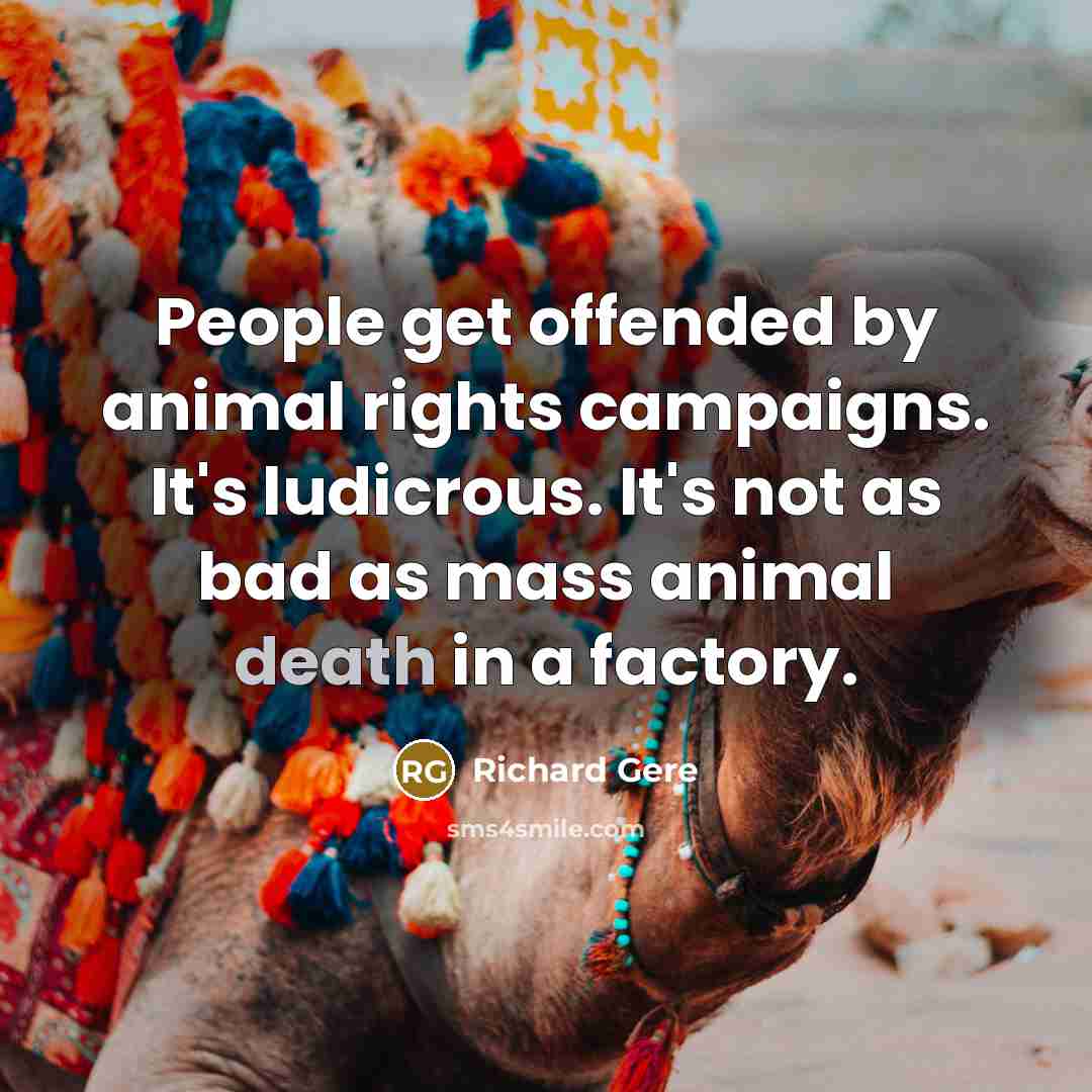 “People get offended by animal rights campaigns. It's ludicrous. It's…” quote by Richard Gere