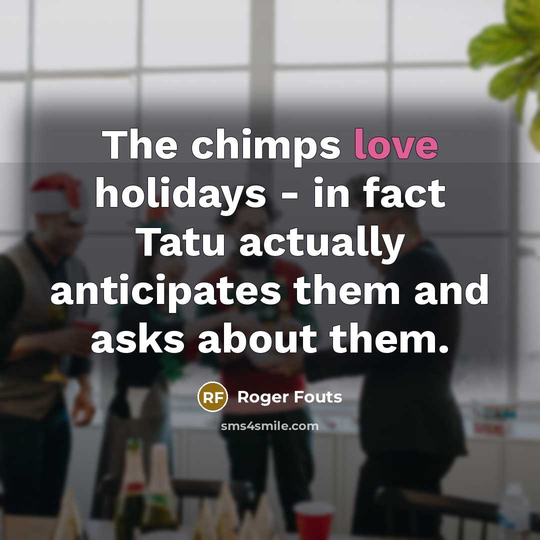 “The chimps love holidays - in fact Tatu actually anticipates them and asks about them.” quote by Roger Fouts