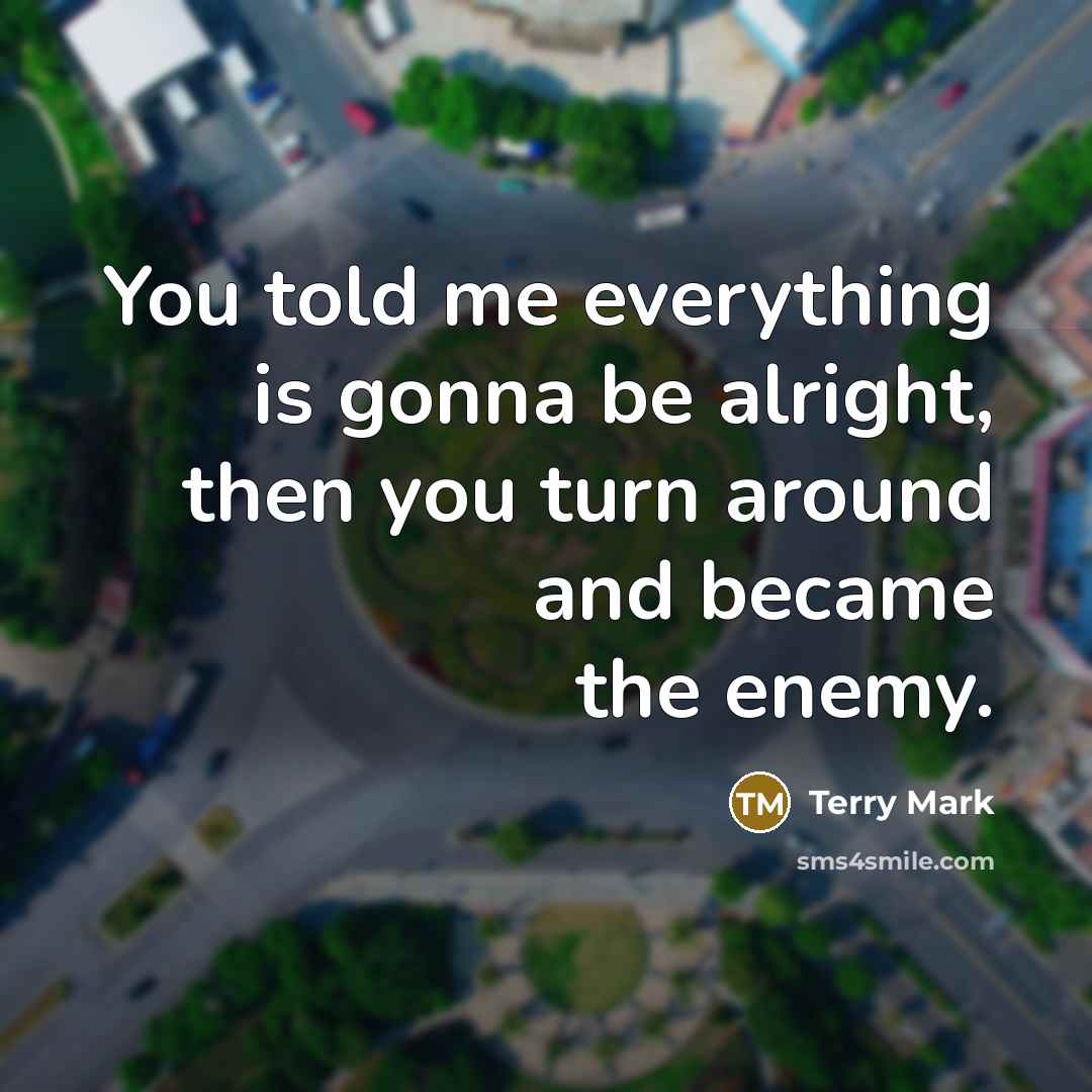 “You told me everything is gonna be alright, then you turn around and became the enemy.” quote by Terry Mark
