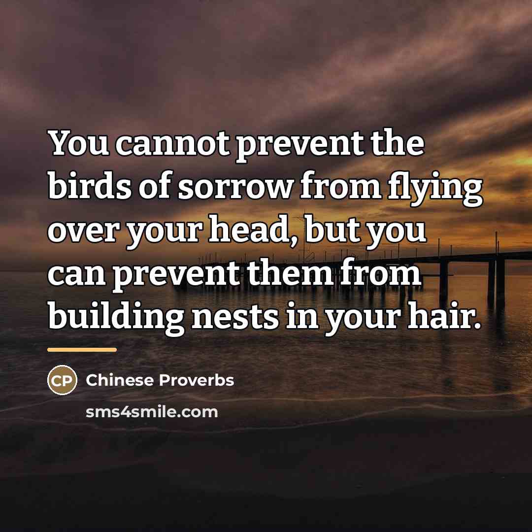 “You cannot prevent the birds of sorrow from flying over…” quote by Chinese Proverbs