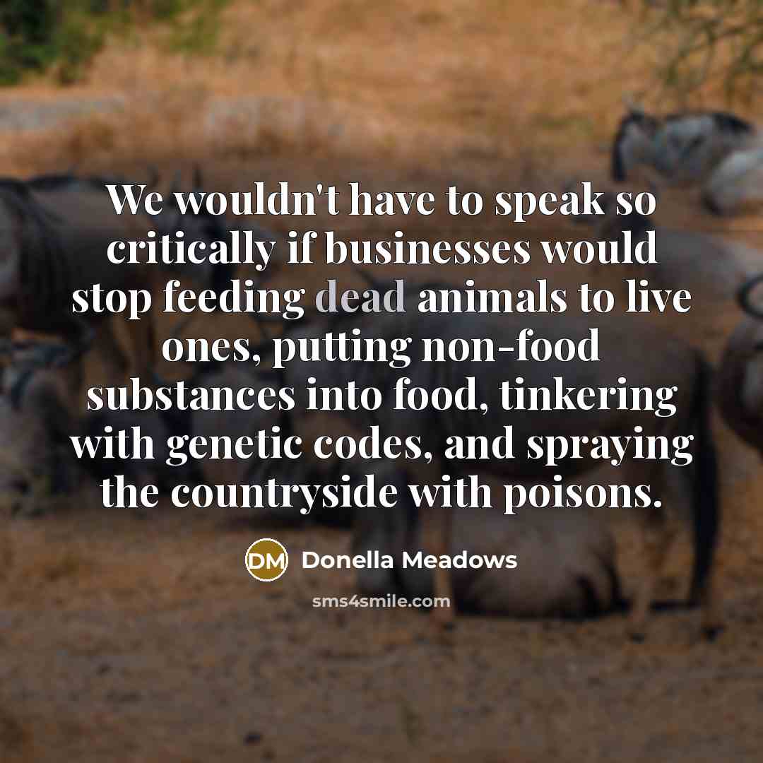 “We wouldn't have to speak so critically if businesses would…” quote by Donella Meadows