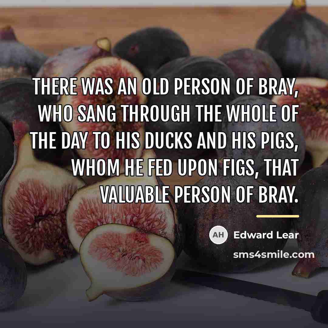 “There was an Old Person of Bray, Who sang through…” quote by Edward Lear