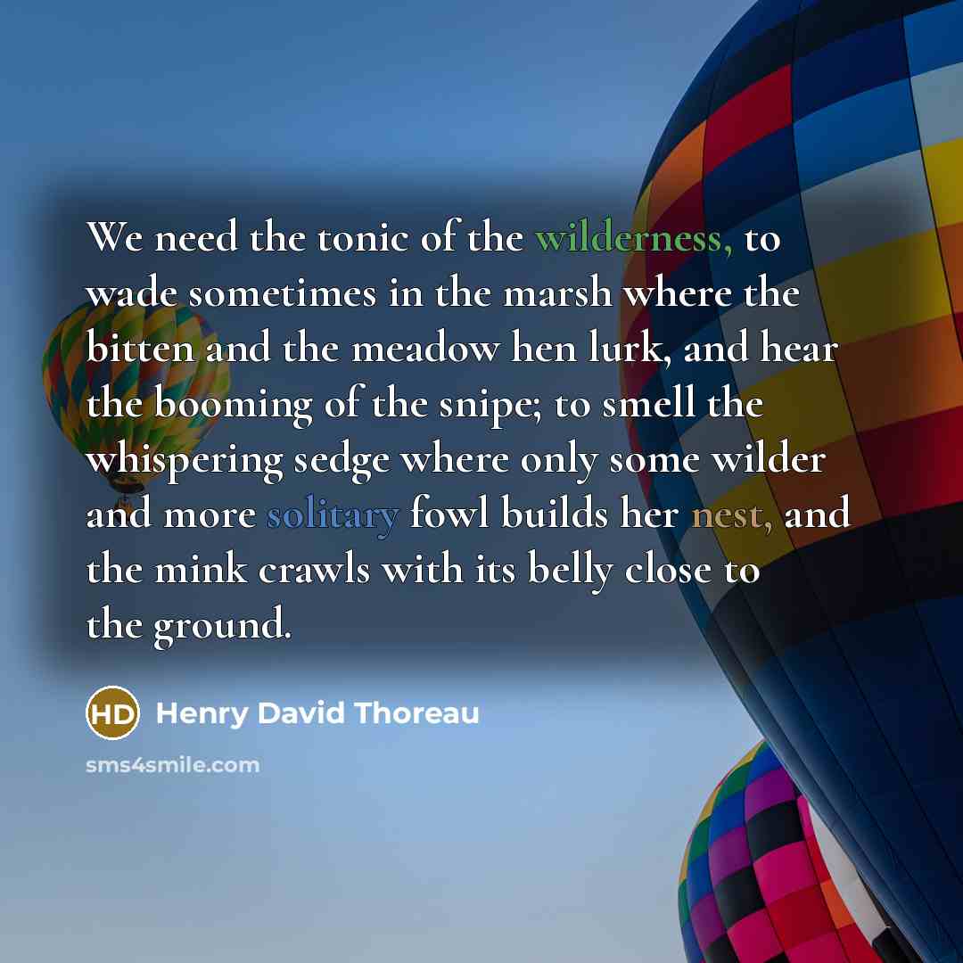 “We need the tonic of the wilderness, to wade sometimes…” quote by Henry David Thoreau