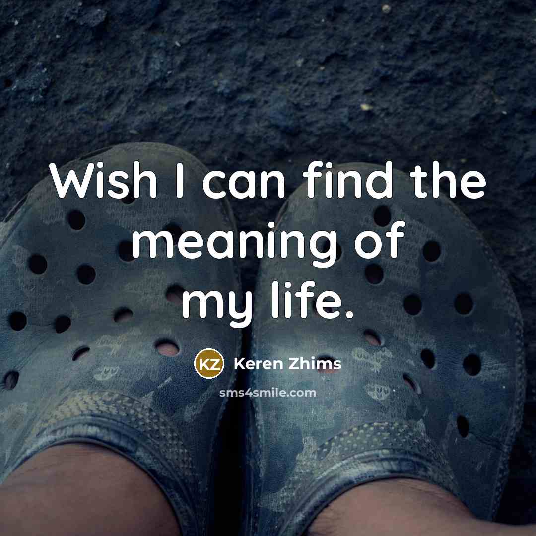 “Wish I can find the meaning of my life.…” quote by Keren Zhims