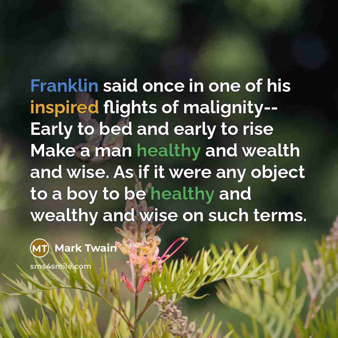 “Franklin said once in one of his inspired flights of…” quote by Mark Twain