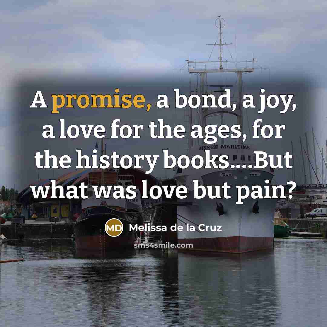 “A promise, a bond, a joy, a love for the…” quote by Melissa de la Cruz