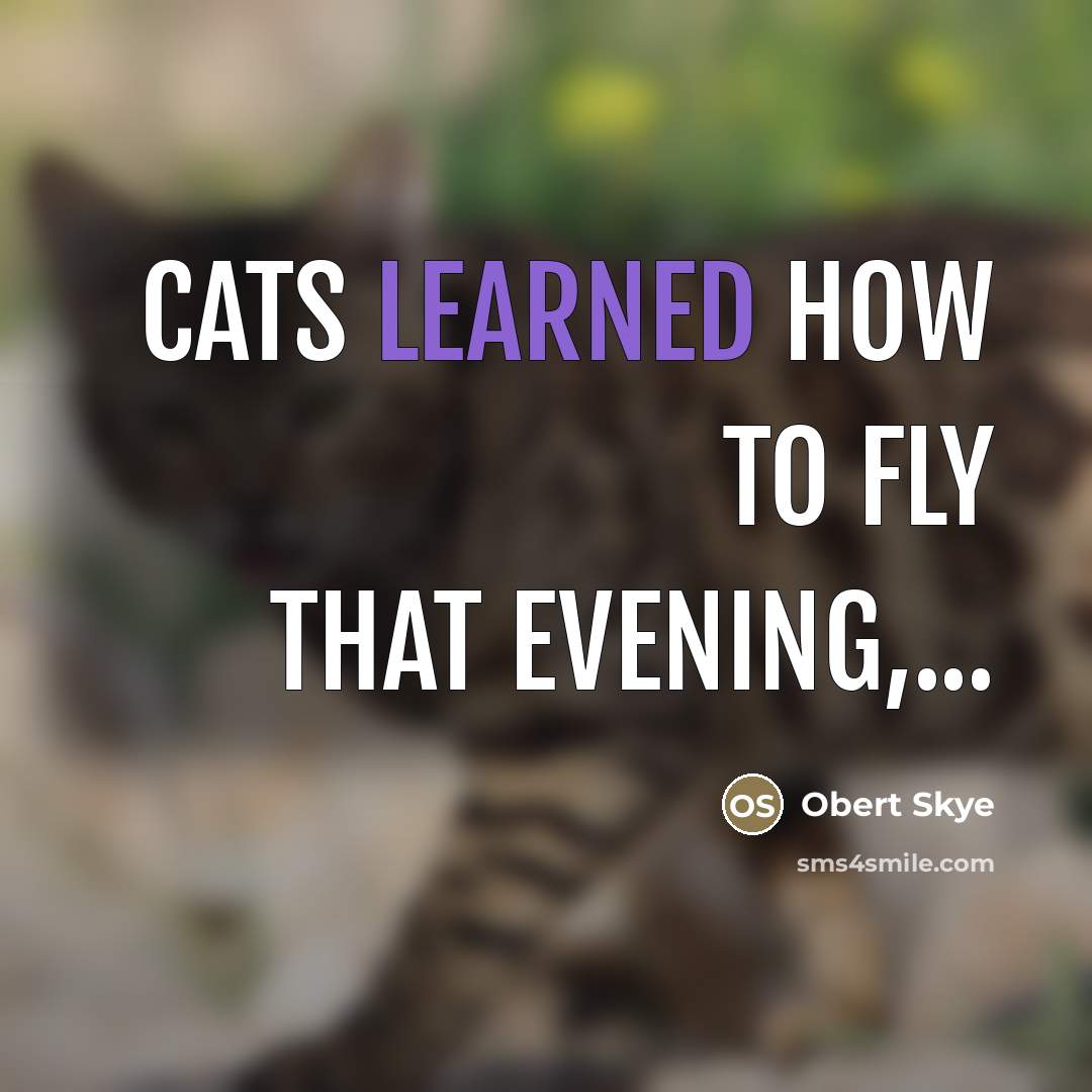 “Cats learned how to fly that evening,...…” quote by Obert Skye