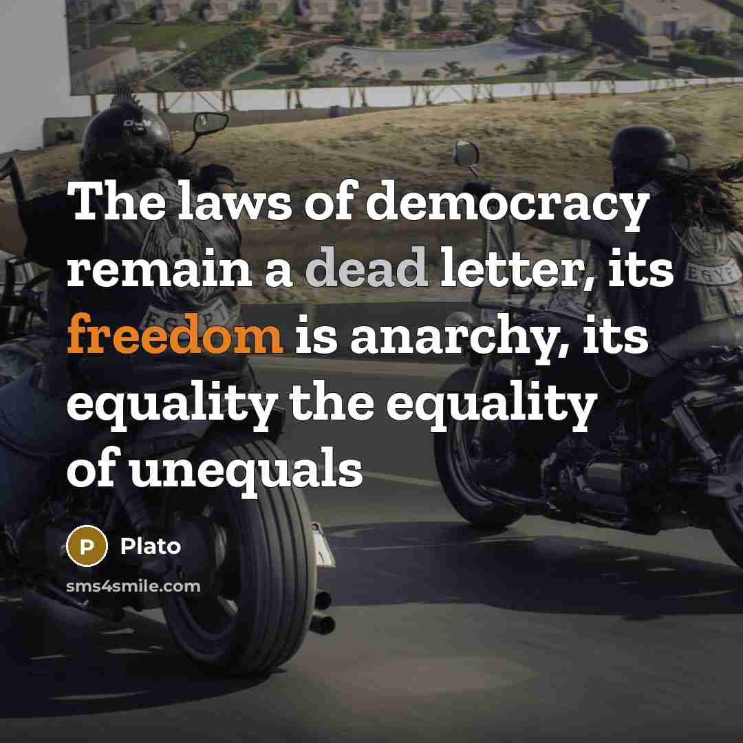 “The laws of democracy remain a dead letter, its freedom…” quote by Plato