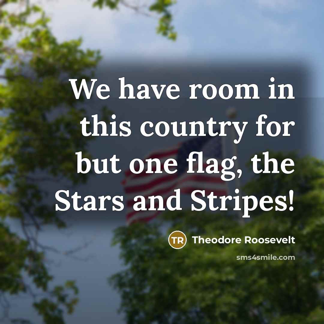 “We have room in this country for but one flag,…” quote by Theodore Roosevelt