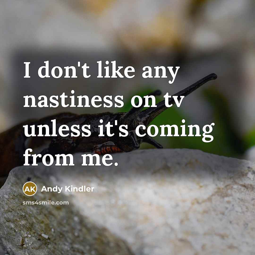 “I don't like any nastiness on tv unless it's coming…” quote by Andy Kindler