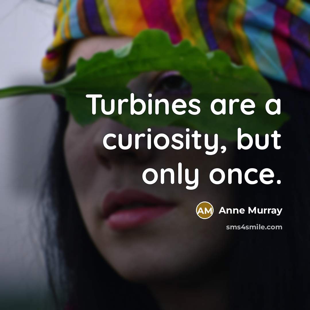 “Turbines are a curiosity, but only once.…” quote by Anne Murray