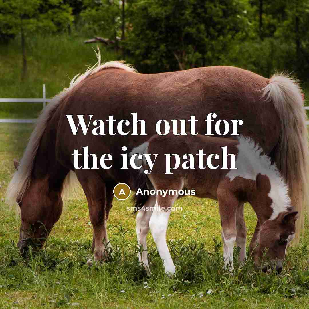 “Watch out for the icy patch” quote by Anonymous