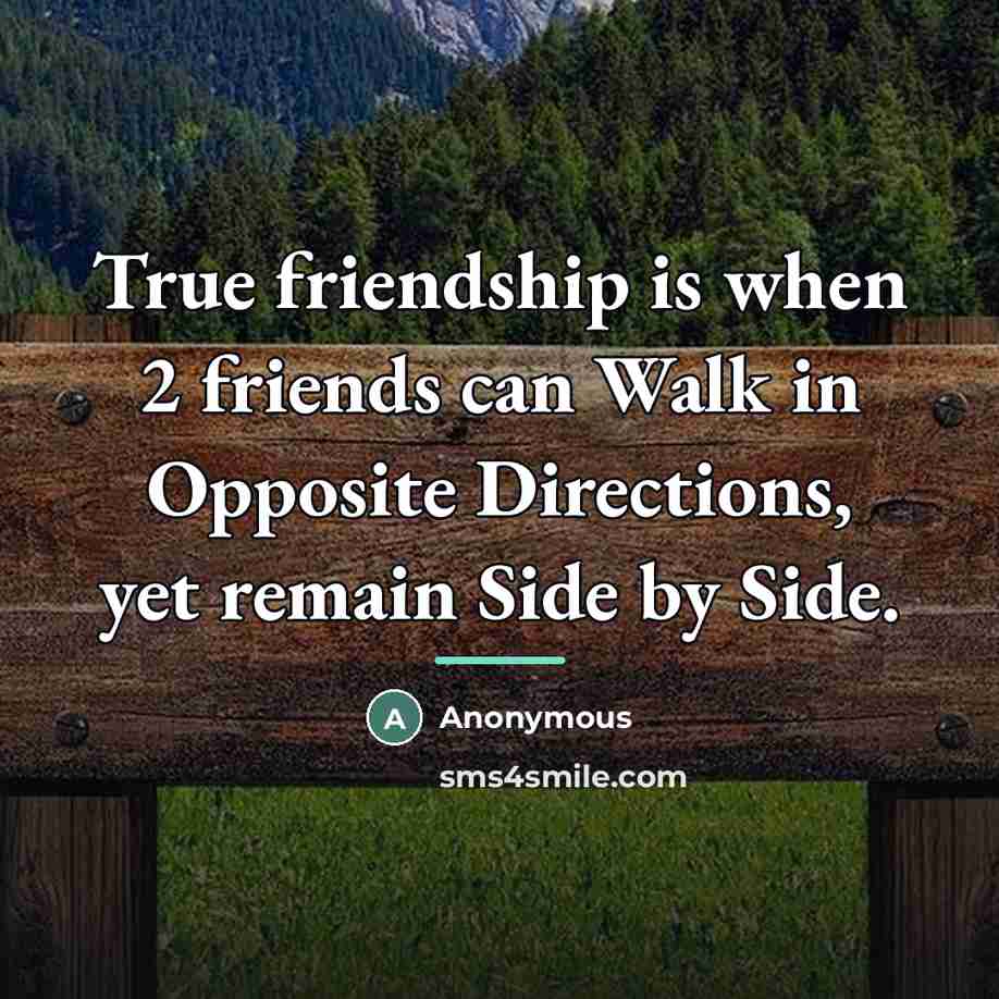 “True friendship is when 2 friends can Walk in Opposite…” quote by Anonymous