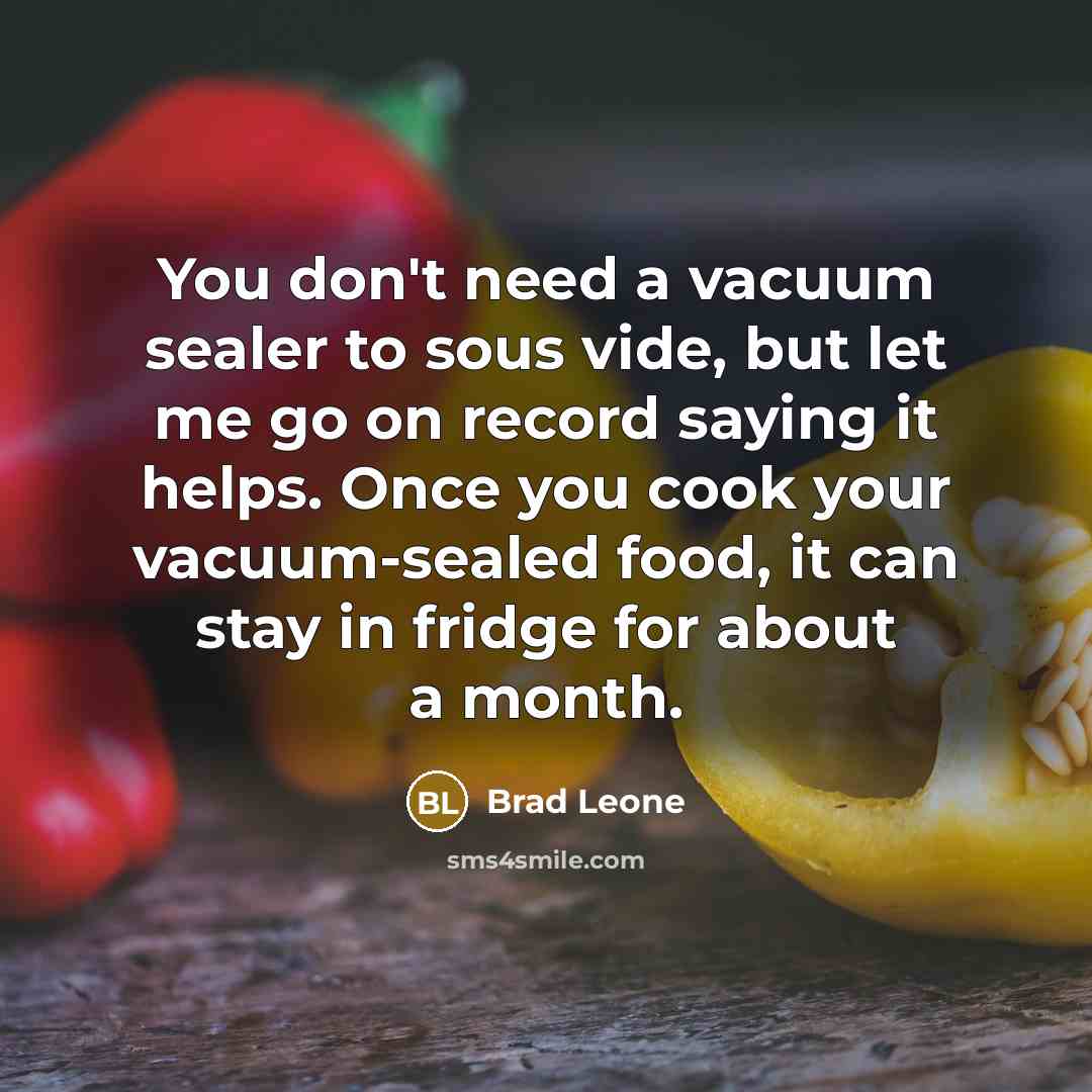 “You don't need a vacuum sealer to sous vide, but…” quote by Brad Leone
