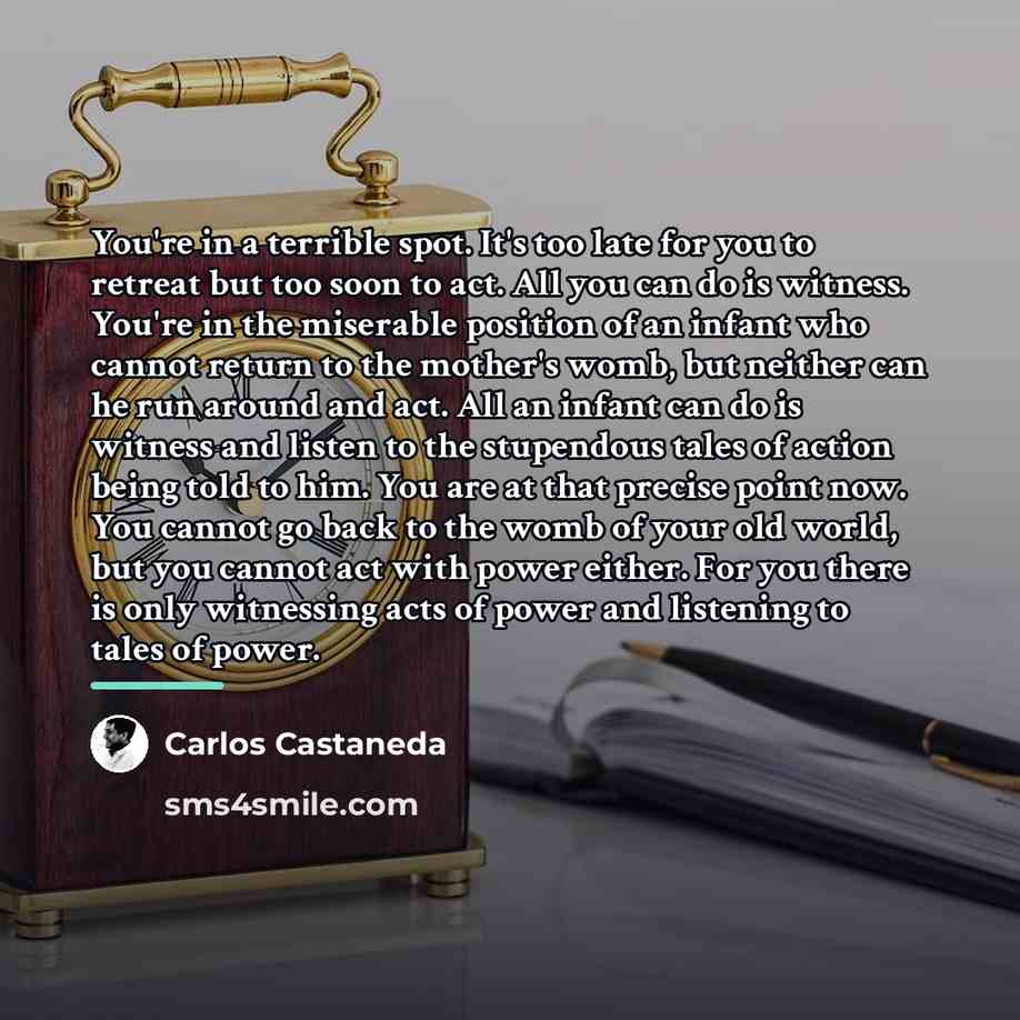 “You're in a terrible spot. It's too late for you…” quote by Carlos Castaneda