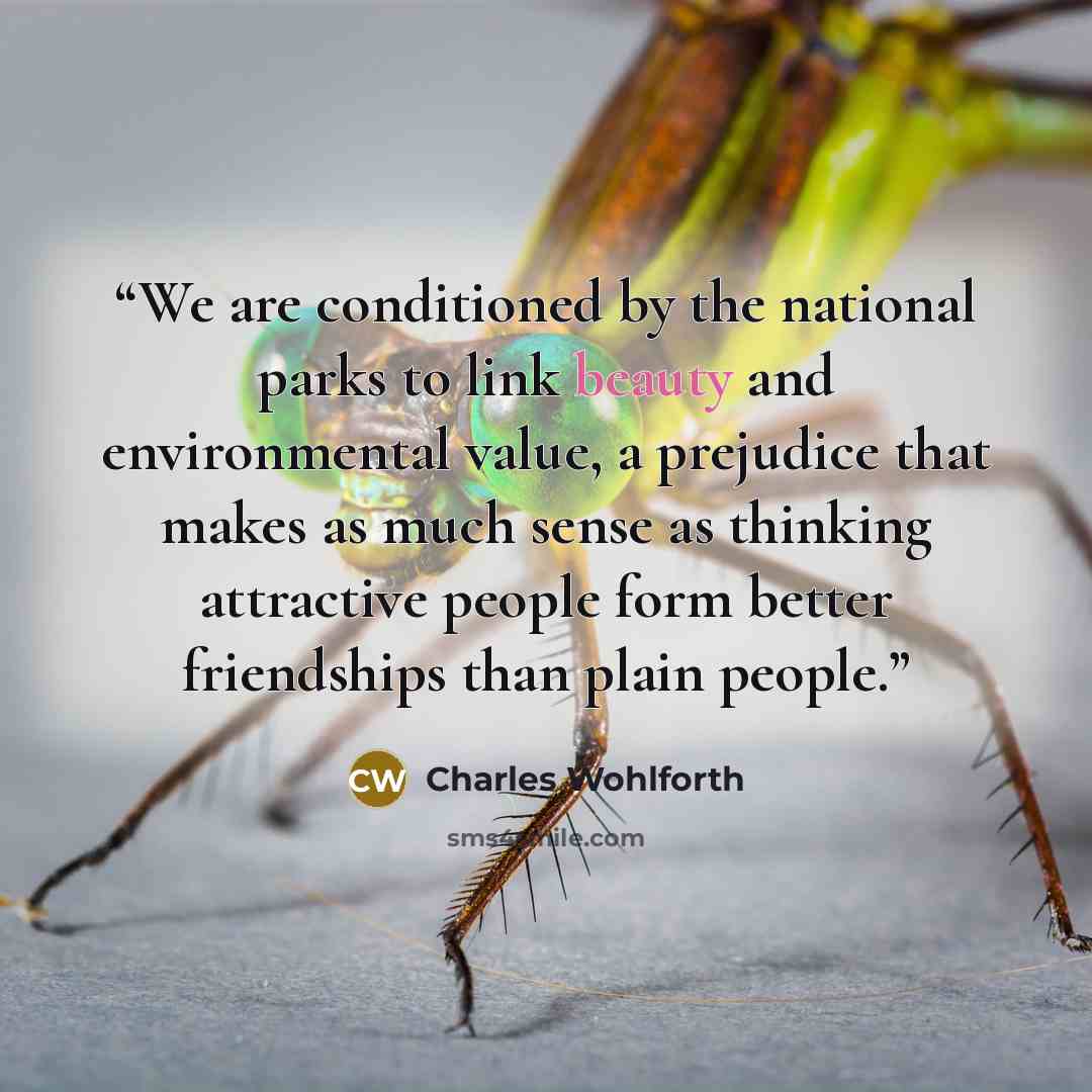 “We are conditioned by the national parks to link beauty and environmental value, a prejudice that makes as much sense as thinking attractive people form better friendships than plain people.” quote by Charles Wohlforth