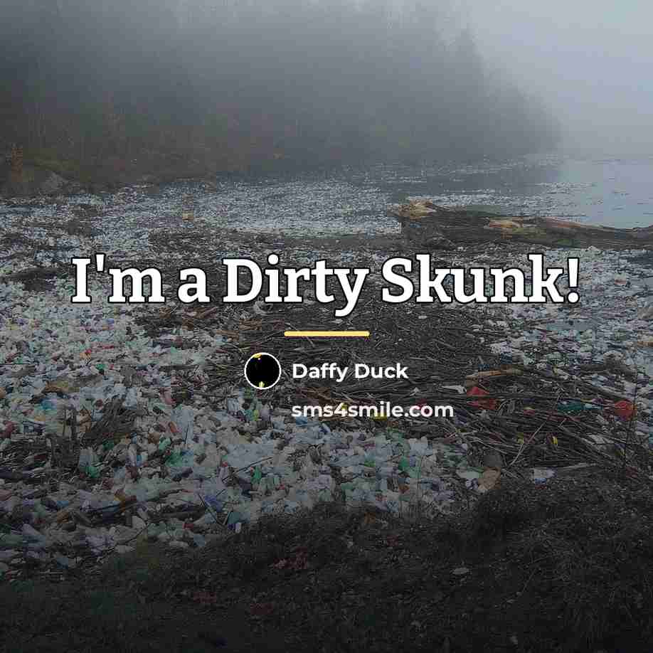 “I'm a Dirty Skunk!…” quote by Daffy Duck