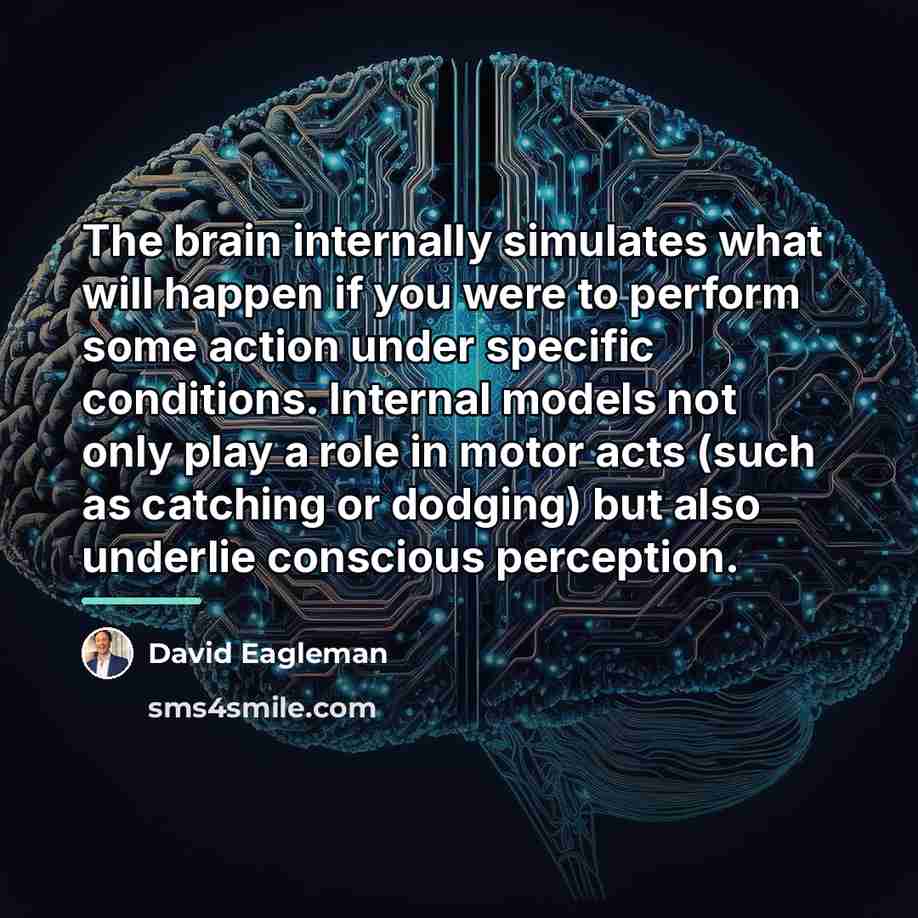 “The brain internally simulates what will happen if you were…” quote by David Eagleman
