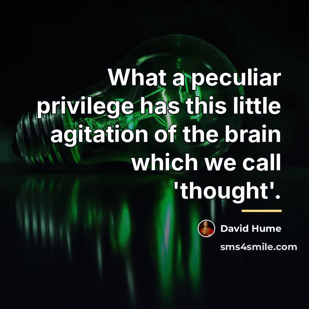 “What a peculiar privilege has this little agitation of the…” quote by David Hume