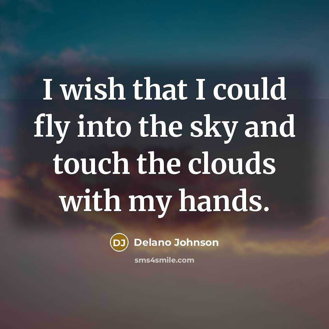 “I wish that I could fly into the sky and…” quote by Delano Johnson
