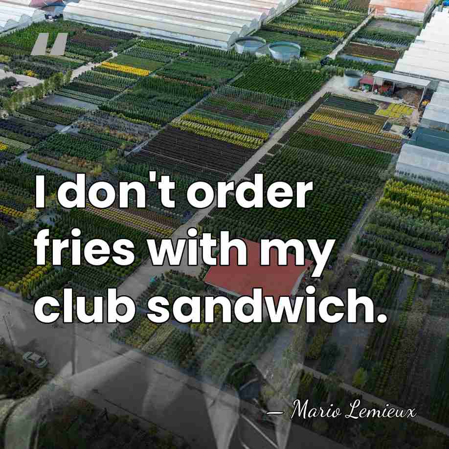 I don't order fries with my club sandwich. - Mario Lemieux