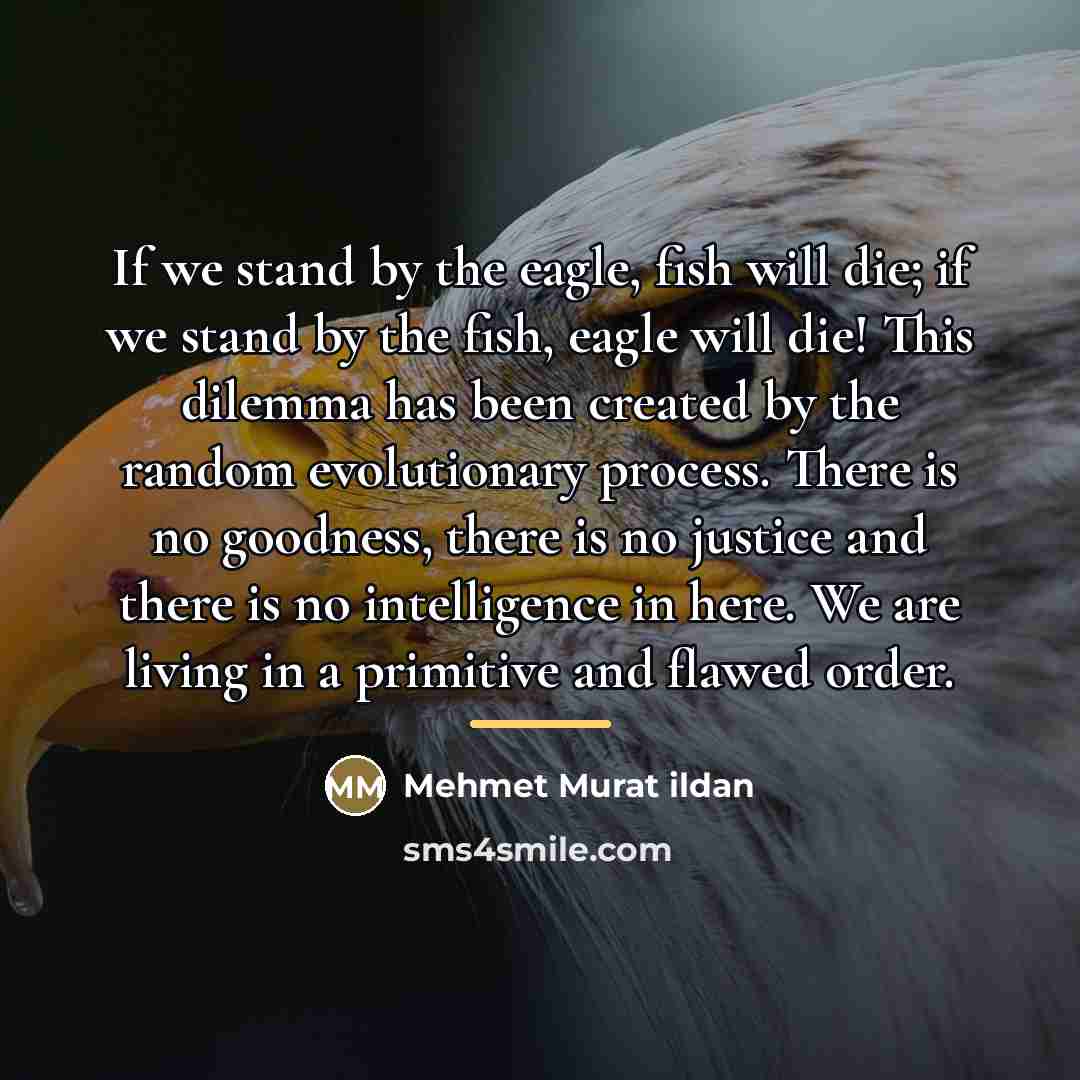 “If we stand by the eagle, fish will die; if…” quote by Mehmet Murat Ildan