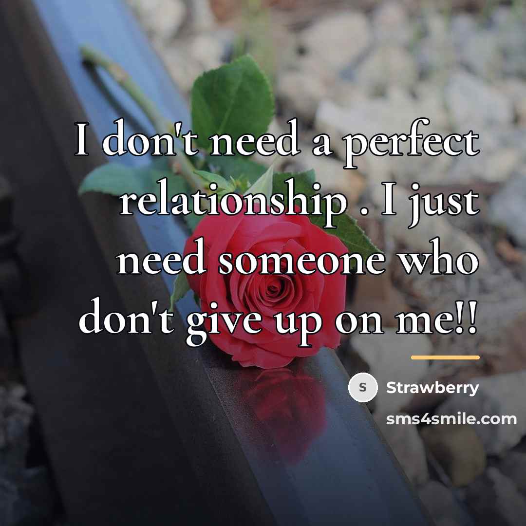 “I don't need a perfect relationship . I just need…” quote by Strawberry