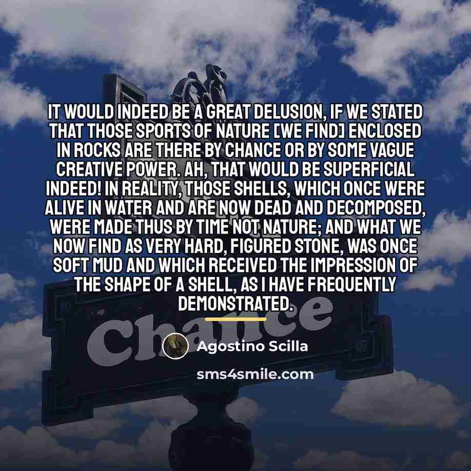“It would indeed be a great delusion, if we stated…” quote by Agostino Scilla