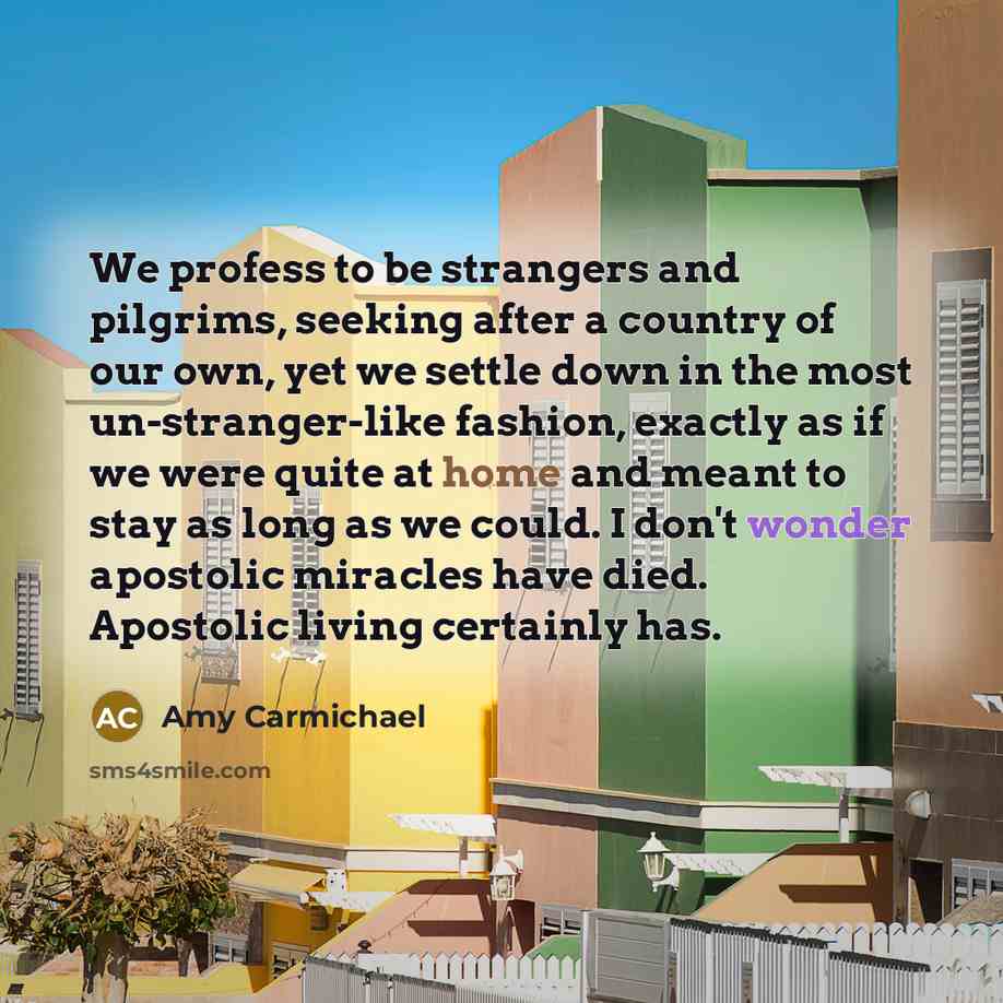 “We profess to be strangers and pilgrims, seeking after a…” quote by Amy Carmichael