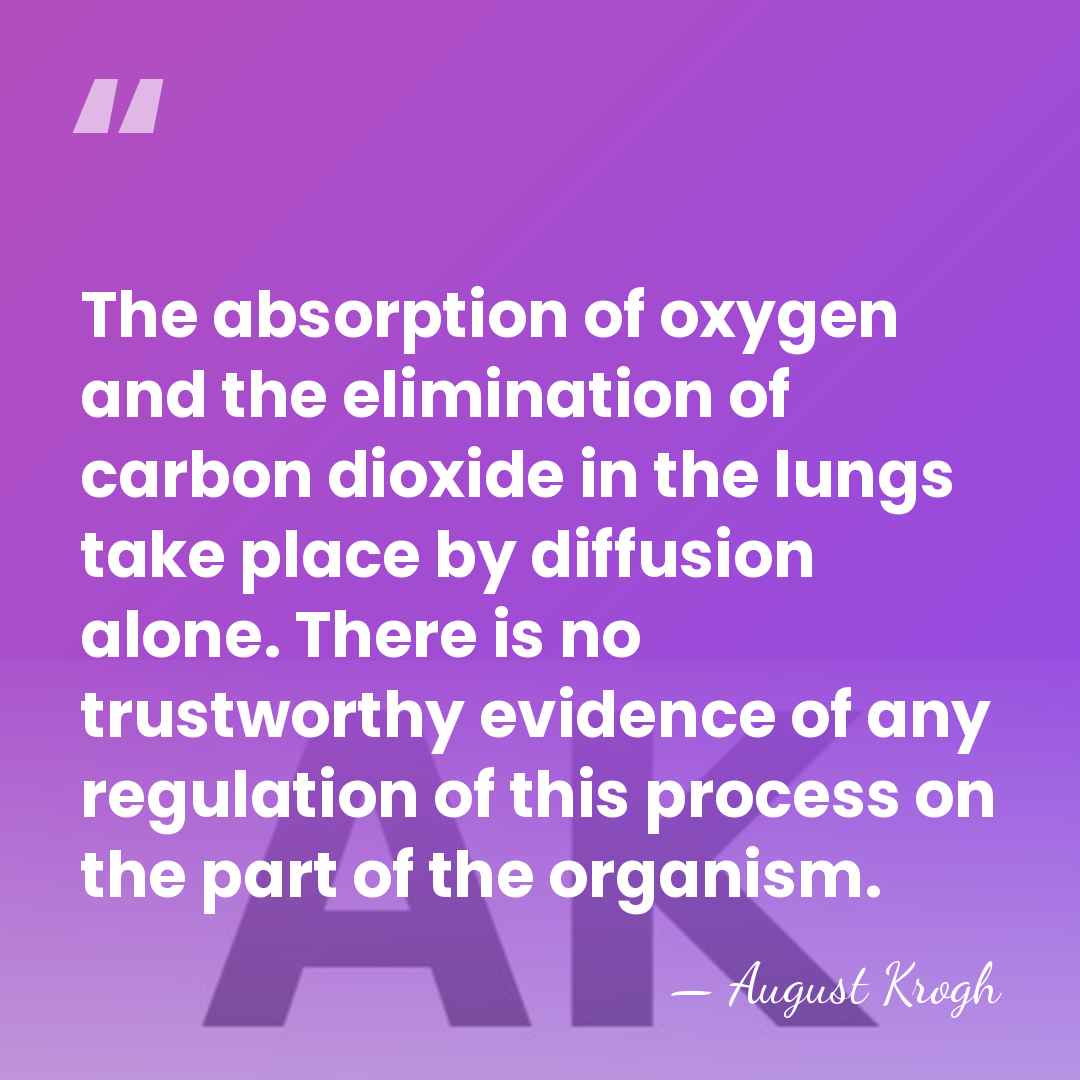 The absorption of oxygen and the elimination of carbon dioxide in the&hellip; - August Krogh