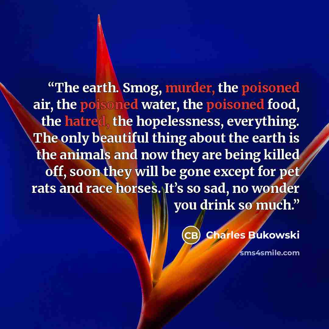 “The earth. Smog, murder, the poisoned air, the poisoned water, the poisoned food, the hatred, the hopelessness, everything. The only beautiful thing about the earth is the animals and now they are being killed off, soon they will be gone except for pet rats and race horses. It’s so sad, no wonder…” quote by Charles Bukowski