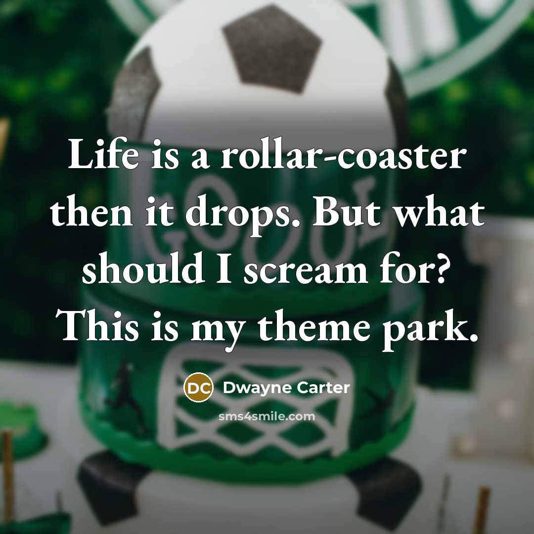 “Life is a rollar-coaster then it drops. But what should I scream for? This is my theme park.” quote by Dwayne Carter