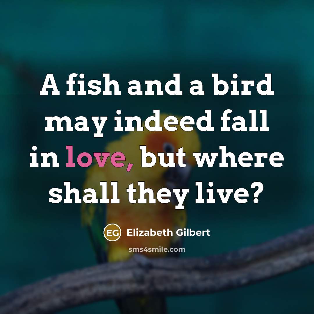 “A fish and a bird may indeed fall in love,…” quote by Elizabeth Gilbert