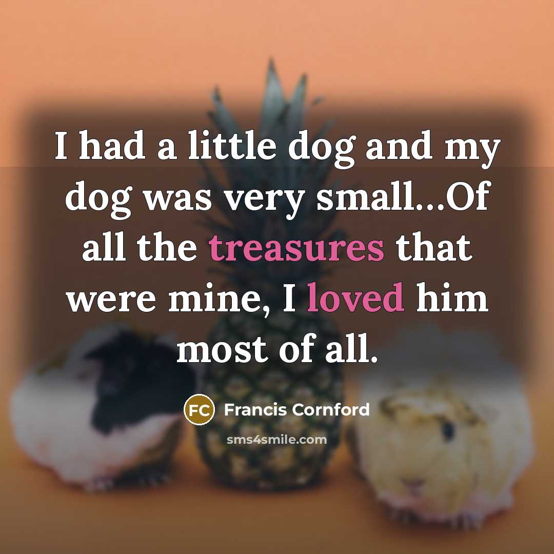 “I had a little dog and my dog was very small…Of all the treasures that were mine, I loved him most of all.” quote by Francis Cornford
