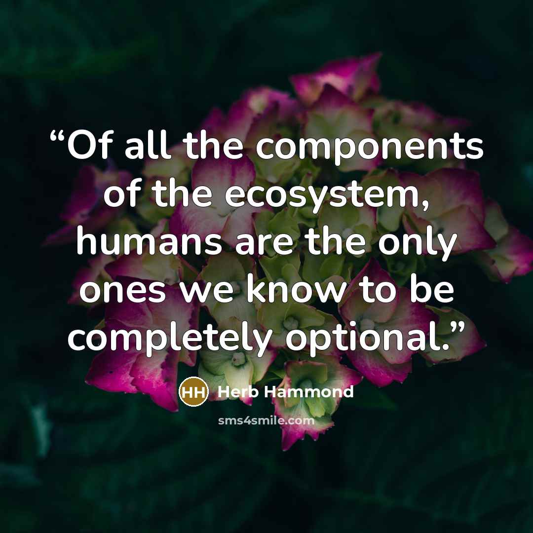 “Of all the components of the ecosystem, humans are the only ones we know to be completely optional.” quote by Herb Hammond