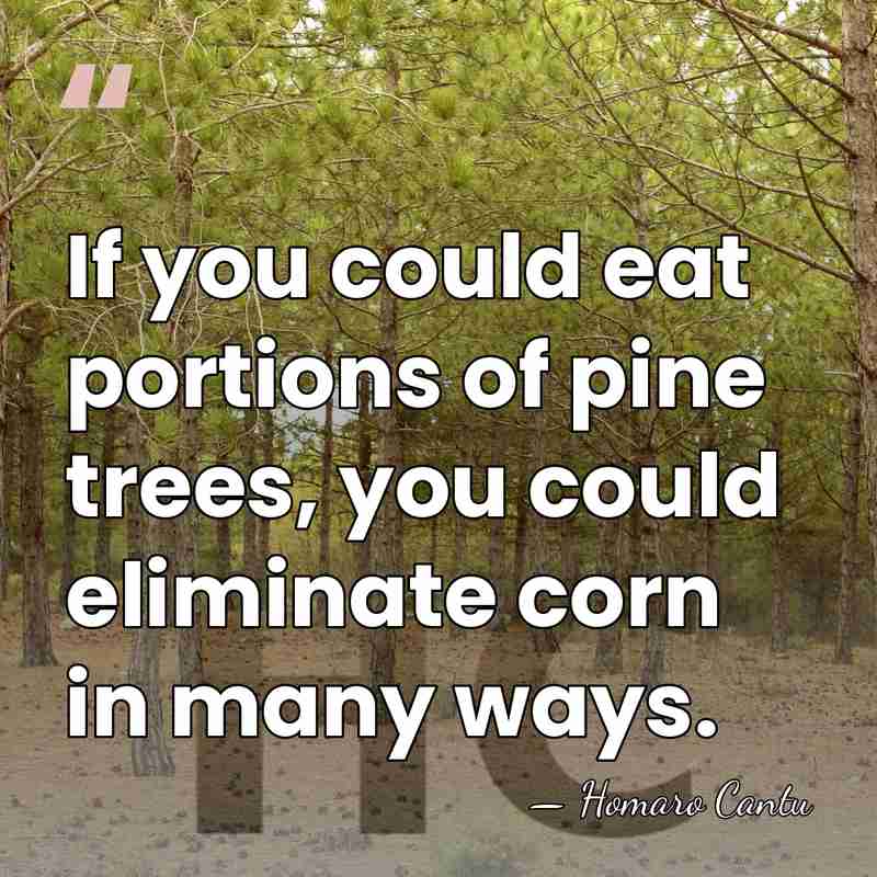 If you could eat portions of pine trees, you could eliminate corn&hellip; - Homaro Cantu