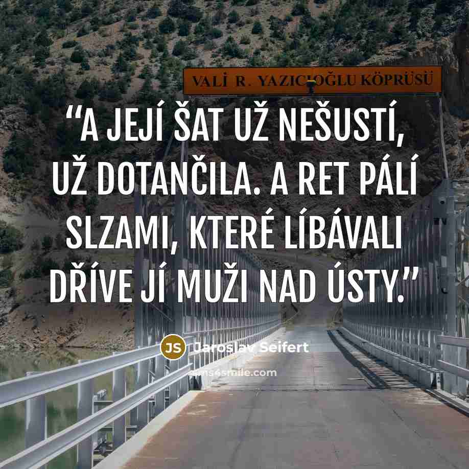 “A její šat už nešustí, už dotančila. A ret pálí slzami, které líbávali dříve jí muži nad ústy.” quote by Jaroslav Seifert