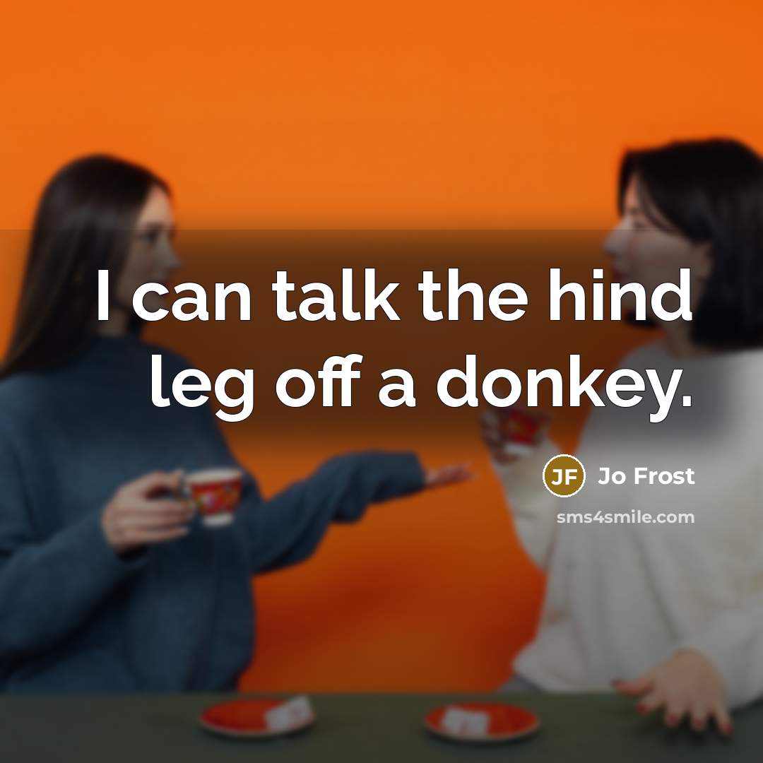 “I can talk the hind leg off a donkey.…” quote by Jo Frost