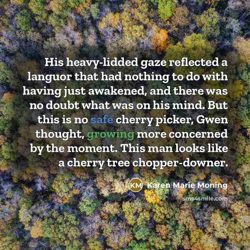 “His heavy-lidded gaze reflected a languor that had nothing to…” quote by Karen Marie Moning