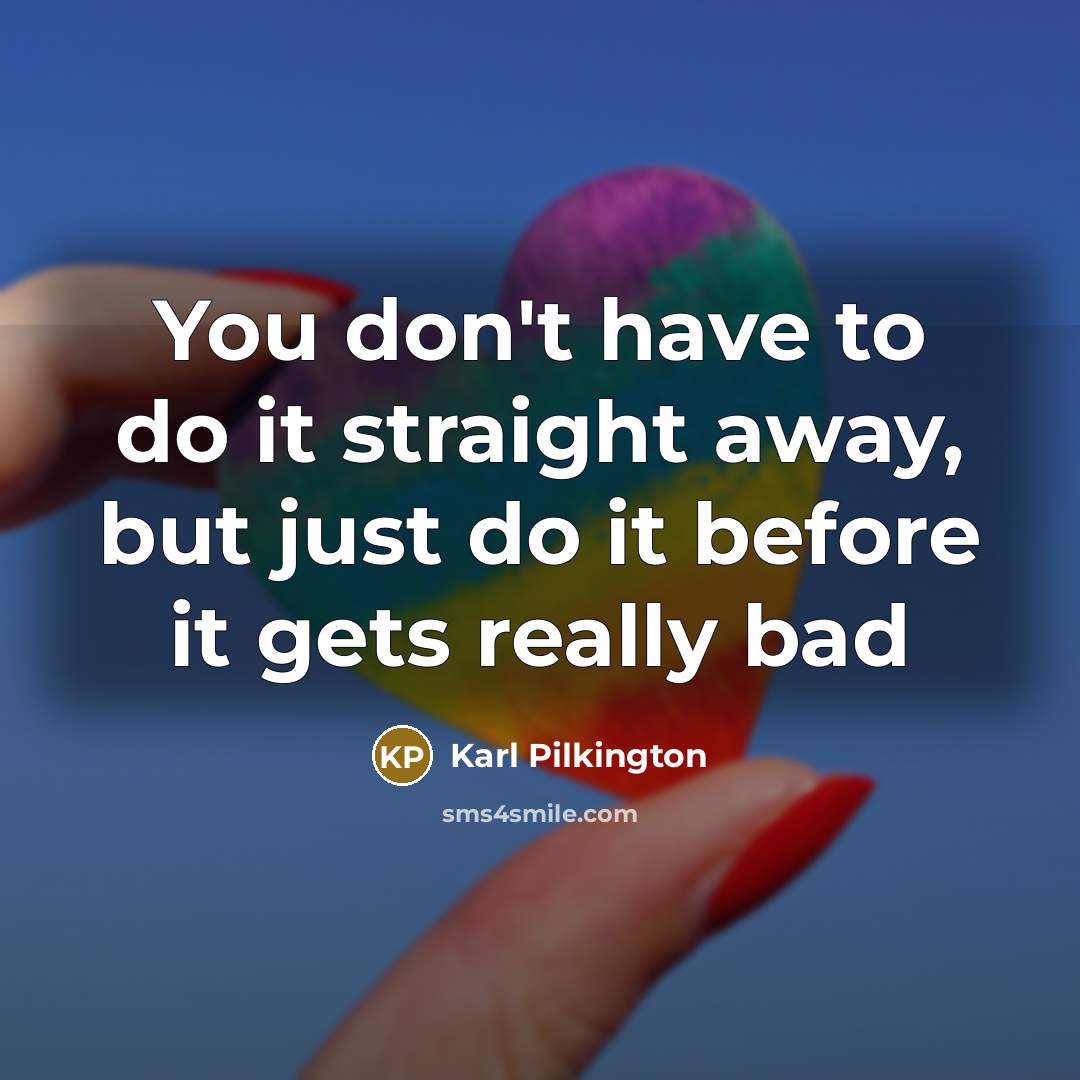 “You don't have to do it straight away, but just…” quote by Karl Pilkington