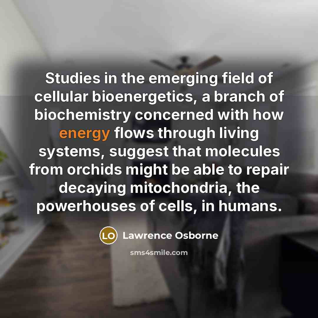 “Studies in the emerging field of cellular bioenergetics, a branch…” quote by Lawrence Osborne