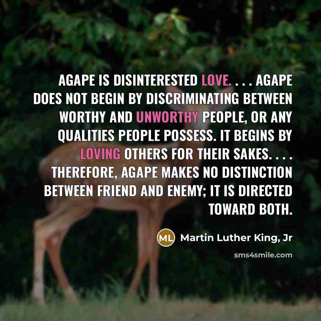 “Agape is disinterested love. . . . Agape does not…” quote by Martin Luther King, Jr