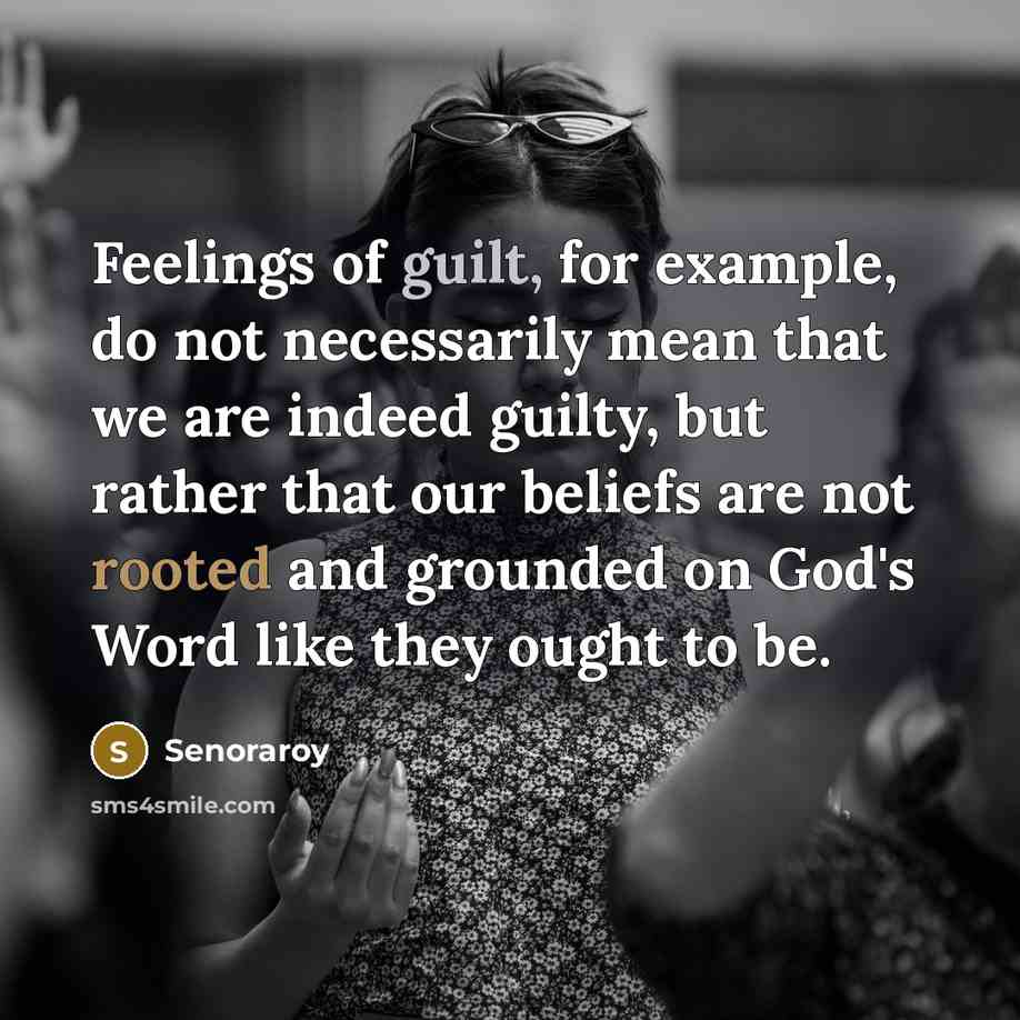 “Feelings of guilt, for example, do not necessarily mean that…” quote by Senoraroy