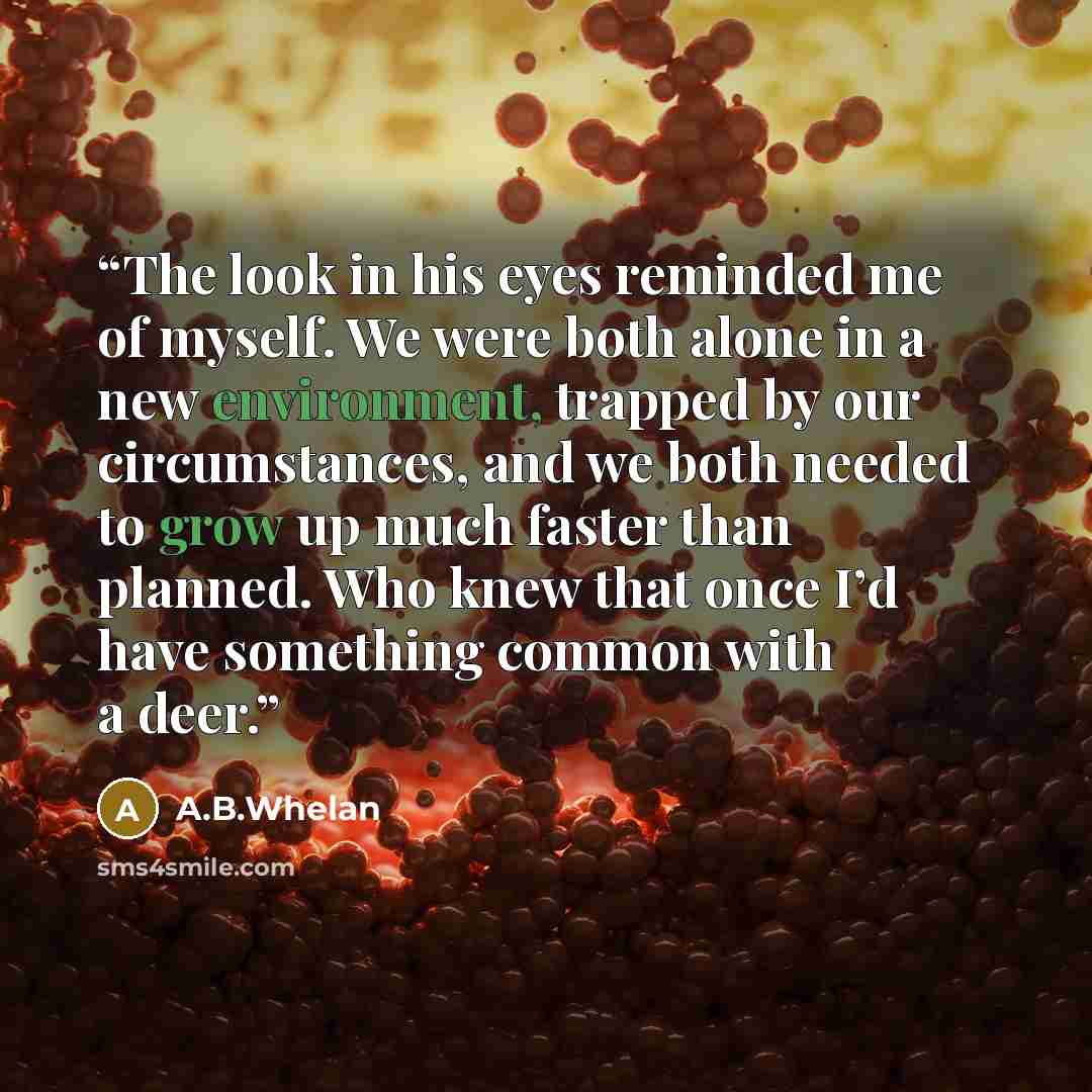 “The look in his eyes reminded me of myself. We were both alone in a new environment, trapped by our circumstances, and we both needed to grow up much faster than planned. Who knew that once I’d have something common with a deer.” quote by A.B.Whelan