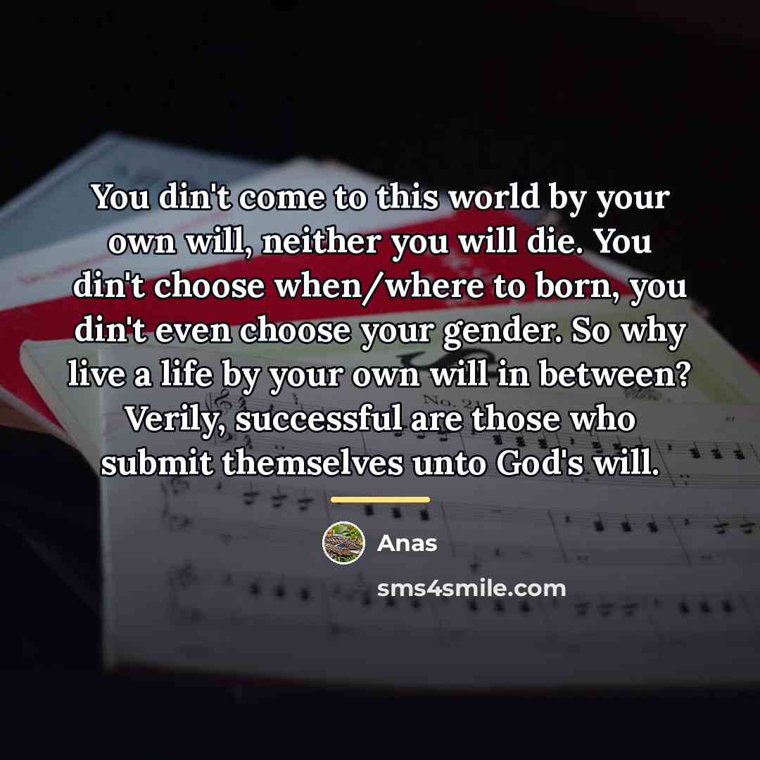 “You din't come to this world by your own will,…” quote by Anas