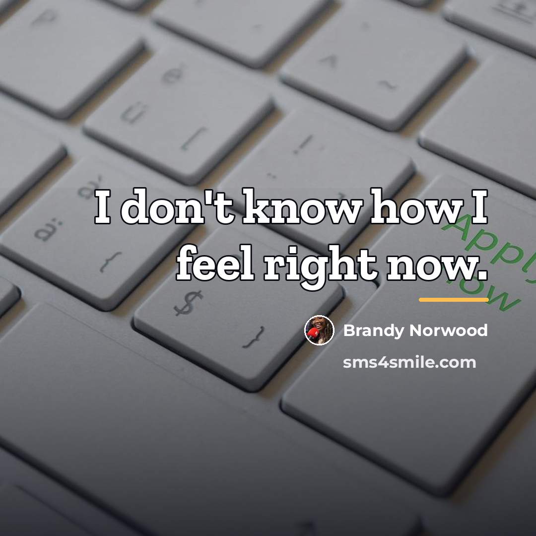 “I don't know how I feel right now.…” quote by Brandy Norwood