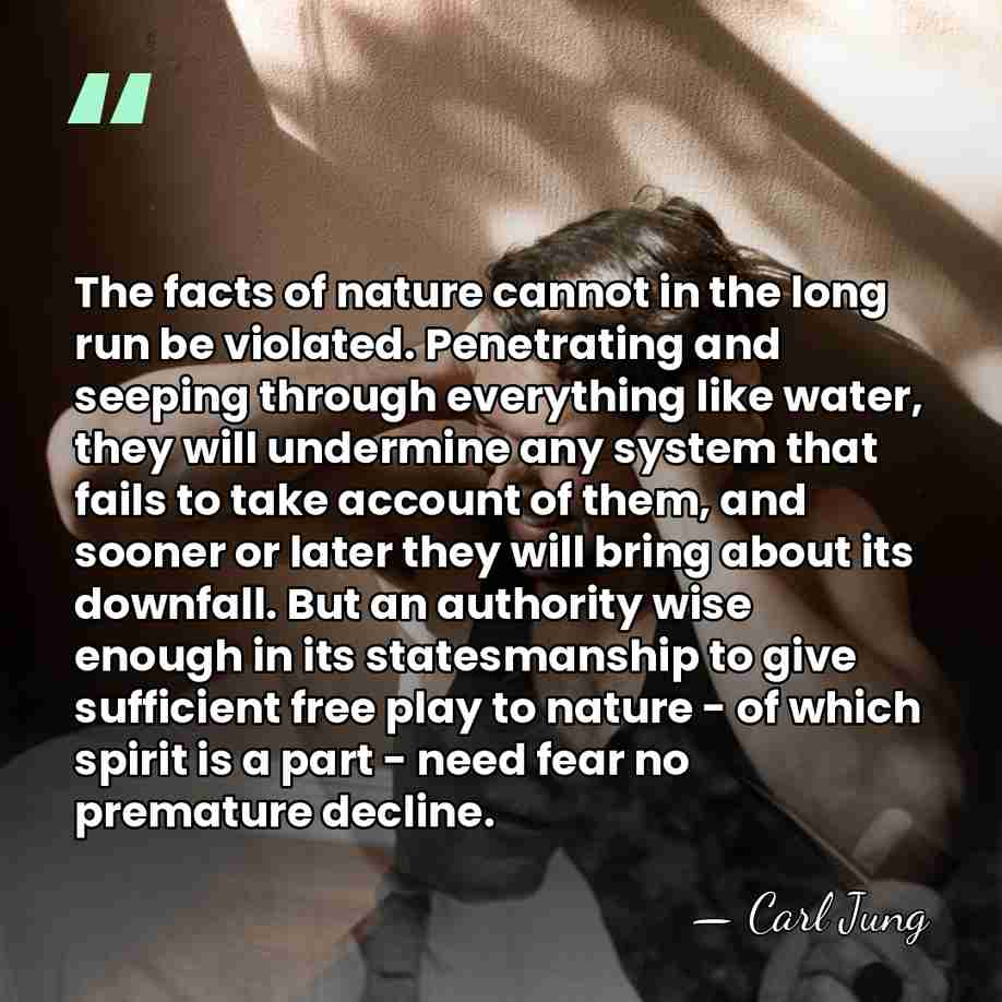 The facts of nature cannot in the long run be violated. Penetrating&hellip; - Carl Jung